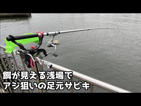 餌が見える浅場でアジ狙いの足元サビキ