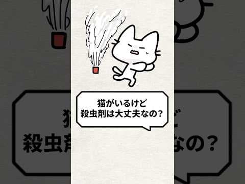 Q：猫がいても殺虫剤は大丈夫？ #猫 #猫のいる生活 #ねこ