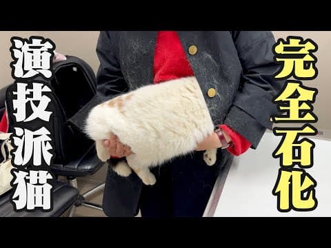 注射器を見た瞬間、母の服に潜り込み石化する猫