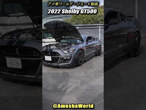 最高出力760馬力！シェルビーGT500の排気音が凄い！2022 Ford Mustang Shelby GT500  #アメ車 #NutsMotorCompany #shorts