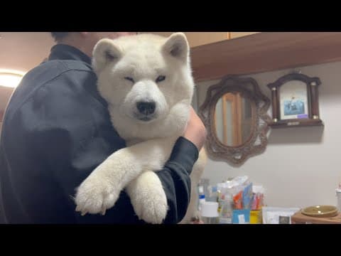 今、伝えたい事。心からありがとう。