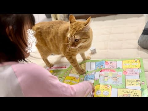 5歳の娘にかまってもらえず拗ねた猫がこうなりました