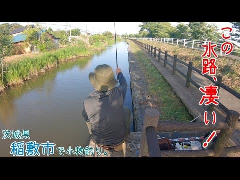 この水路が凄かった！  茨城県 稲敷市で小物釣り。