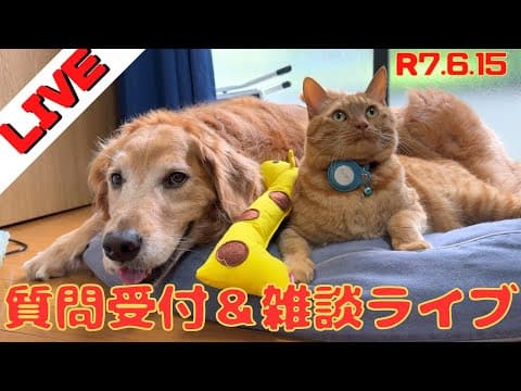 聞きたい事募集します＆雑談ライブ