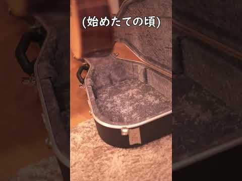 【アコギ】実は上達してきた証3選 Short#ソロギター#アコギ#アコースティックギター#検証#ギター初心者