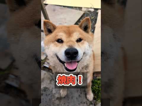 レオ焼肉です❗️