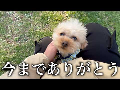 さよなら軽井沢。今までありがとう。【軽井沢滞在終了】
