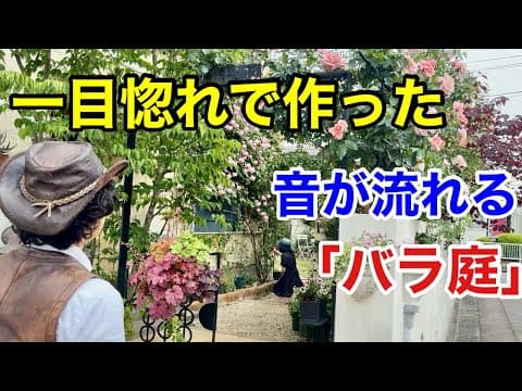 この商品が庭を変えた　バラと音に惚れ込んだ香川の素敵な個人庭　　【カーメン君】【園芸】【ガーデニング】【みすずさん】