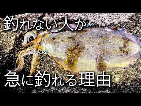 【エギング】初心者が“釣れる人”に変わる方法がすごすぎる