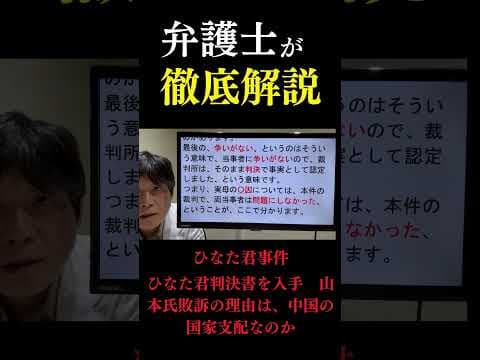 【ひなた君事件】判決書を入手、本裁判はこのように理解せよ