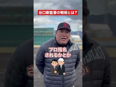 谷口新監督に戦術を聞いてみた。パート2　#ゼロロクブルズ 　#野球  #独立リーグ  #ドラフト #プロ野球