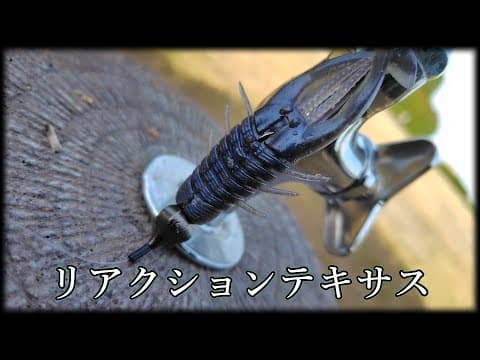 【テキサスリグ】絨毯爆撃こそ真骨頂【バタバタクロー】