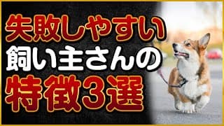 失敗しやすい飼い主さんの特徴3選