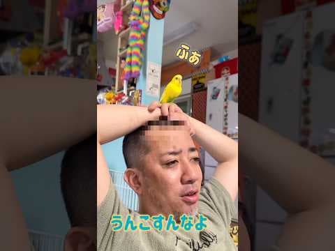 朝のトリおじ