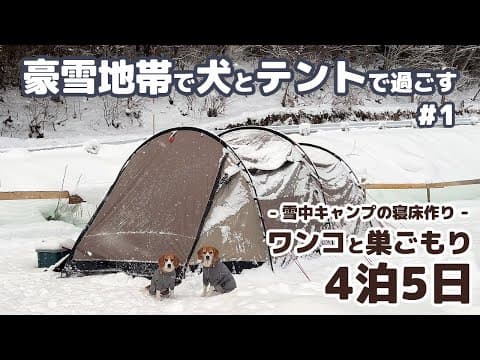 【雪中キャンプ】全てが凍る！？豪雪地帯で年末年始を犬とテントで過ごした記録 ～ 4泊5日年越し雪中キャンプ #1 -犬連れ夫婦キャンプ-