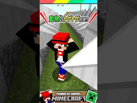 マイクラの動物トゲトゲ対決！ #マイクラ #マインクラフト #Minecraft #まいくら #クイズ #ゲーム #Shorts
