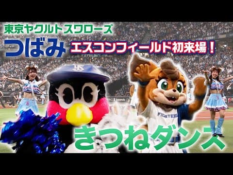 【エスコンフィールドへようこそ！】東京ヤクルトスワローズ つばみ ときつねダンス！【日本生命セ・パ交流戦】