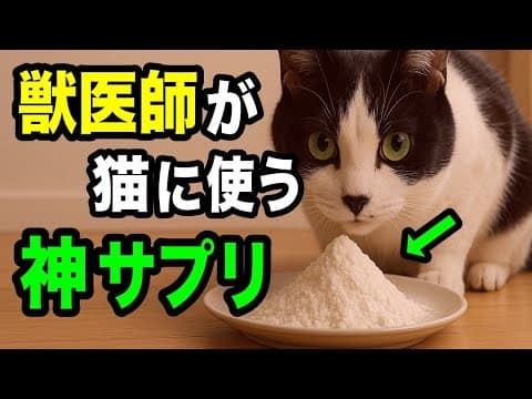 獣医師が猫に使う魔法の粉について解説します【サイリウム/オオバコ】