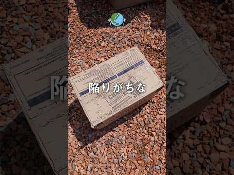 【キャンプ】炭と薪の違い。料理はどっちですべき？