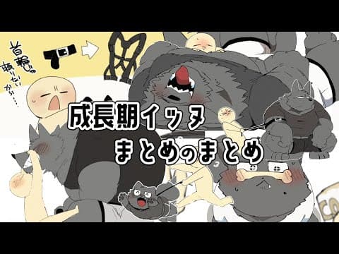 【④・⑤＋α】成長期ｲｯﾇまとめのまとめ💪🐶