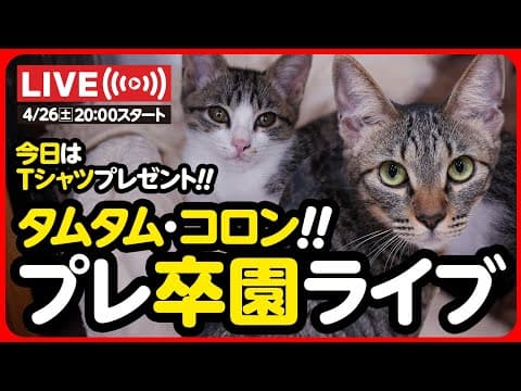 🔴【ライブ記録】たむたむ&ころんちゃん 卒園おめでとうライブ💐