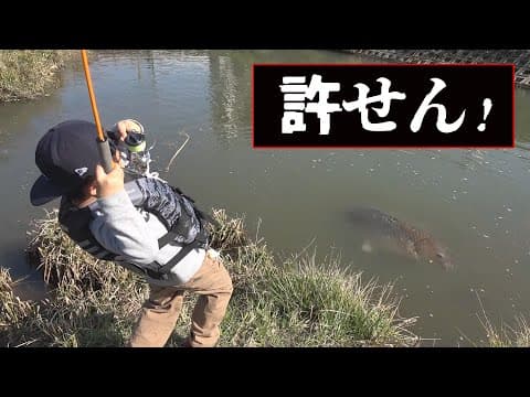 ６歳児が巨大魚と格闘してる隙に、泥棒が全てを盗っていく一部始終…