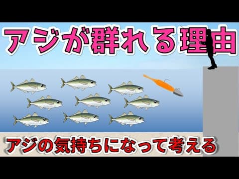 【群れる理由がわかれば釣果UP！】アジの生態を学んで釣る