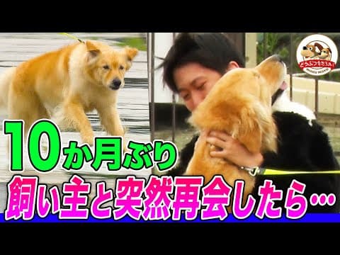 【強い絆に涙】大好きな飼い主と離れて10か月…突然飼い主が現れたらワンちゃんの反応は!?全身で喜びを示す愛犬に涙が止まらない【アニマリング】