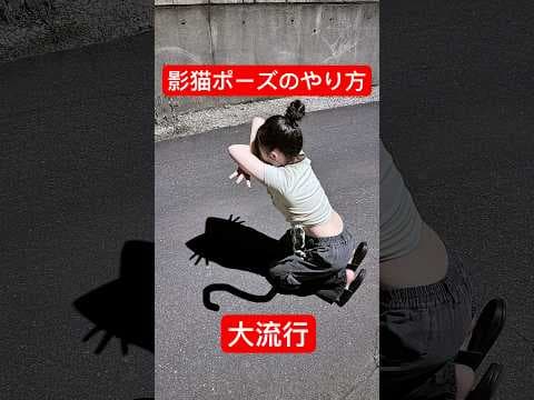 大流行している影猫ポーズ写真のやり方