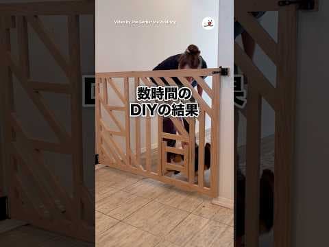 何時間もかけて作ったのに…｜PECO