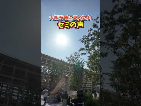 大阪万博にセミ来場#expo2025