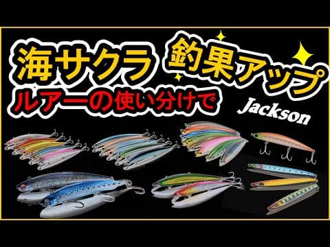 【 2025年海サクラ狙い】ルアーの使い分けで釣果アップ！