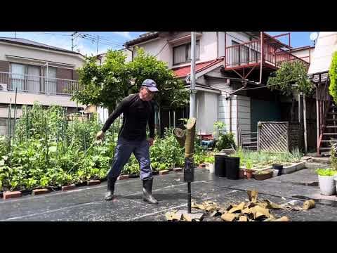 熱中症にご注意ください