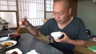 【生後４カ月】朝食襲撃犬！