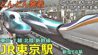 JR東京駅 (東北新幹線) 2🚃どんどん電車が発着！●はやぶさ、こまち、つばさ、やまびこ、とき、かがやき、あさま 等（東北・北海道・秋田・山形・上越・北陸）【JR東日本】