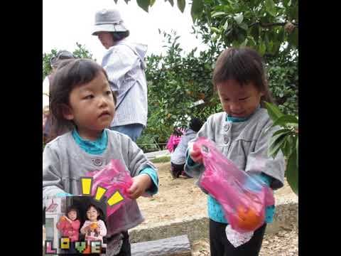 雙胞胎第一次採橘子