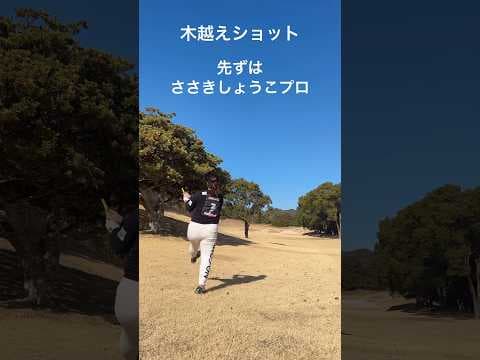 キャンプでの出来事　木越えショット　175ヤード　ささきしょうこプロと兼岩美奈プロ　#골프스윙 #golf #ゴルフ #footwork #ゴルフスイング #ささきしょうこ #兼岩美奈