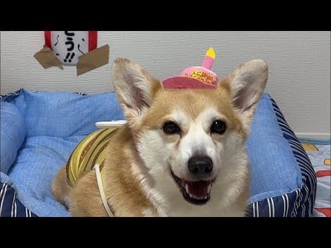10歳になりました🎂✨