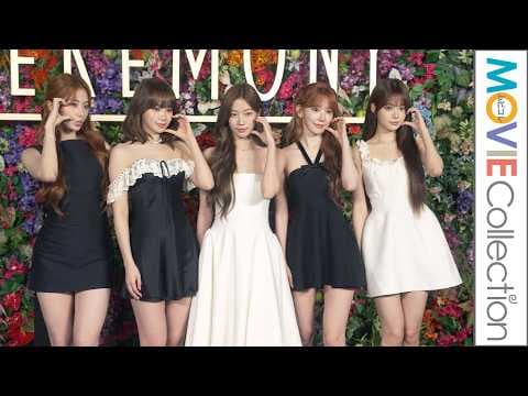 LE SSERAFIM「DIFFERENT」生パフォーマンス！／Mrs. GREEN APPLE presents 『CEREMONY』