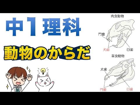 【中１理科】動物のからだと食物（門歯・臼歯・犬歯）【生物動画12】