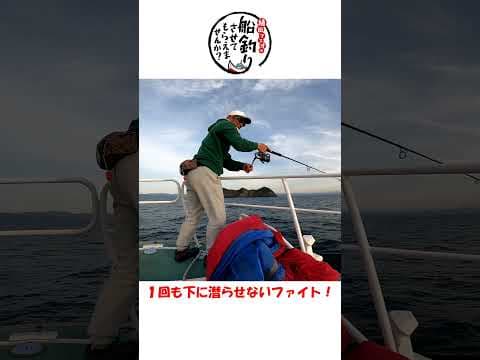 巨大なブリを秒殺で釣る男