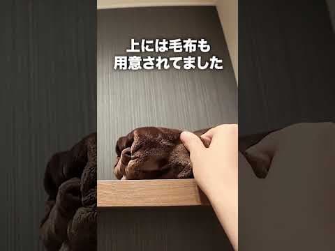 【快活CLUB】鍵付き完全個室のネットカフェが完全にホテルだった件www