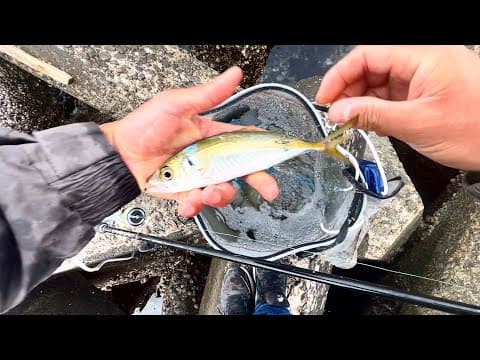 【衝撃】釣り開始5分で怪物来ました。