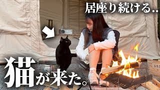 ソロキャンプ中､甘えん坊の野良猫が私のテントに来て...