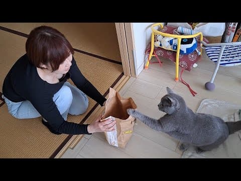 紙袋とママとすずまろ