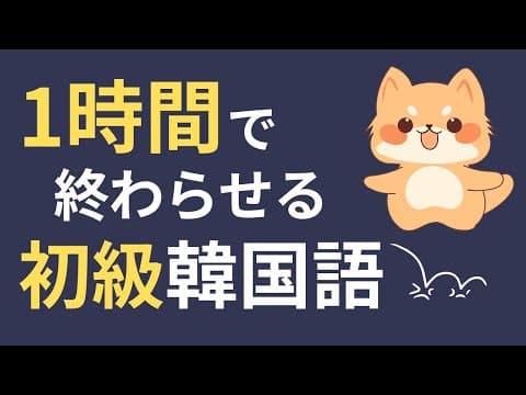 ★登録者1万人記念★1時間で終わらせる初級韓国語 ｜瞬間韓作文ダイジェスト