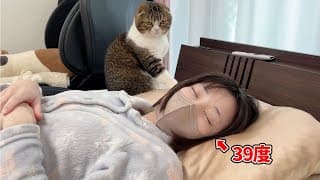 ママが高熱と吐き気で倒れると猫の行動はこうなります…