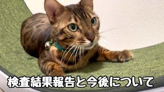 ノアニコの検査結果報告と今後について