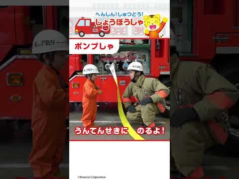 消防士さんへんしん！ かっこいいな しょうぼうしゃ#しまじろう#のりもの