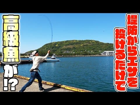 堤防から簡単に釣れる高級魚のシーズンがついに到来！